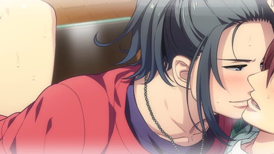 No, Thank You!!! banner