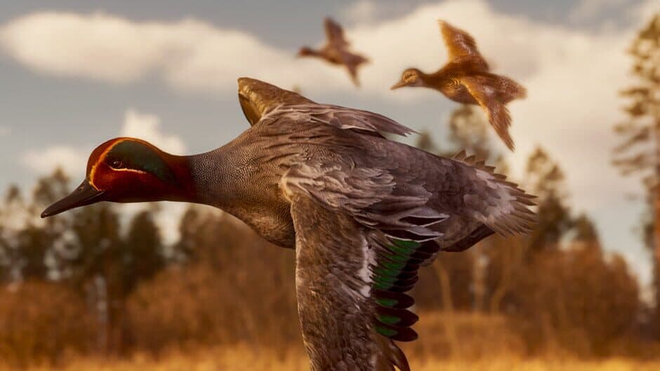 Bult: Hunting Simulator banner