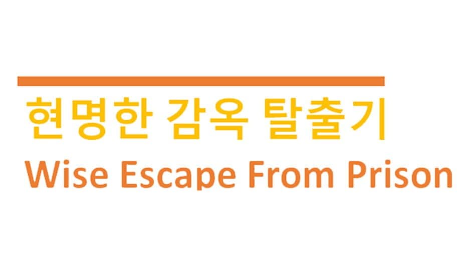 Wise Escape From Prison banner