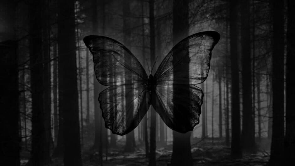Black Butterfly banner