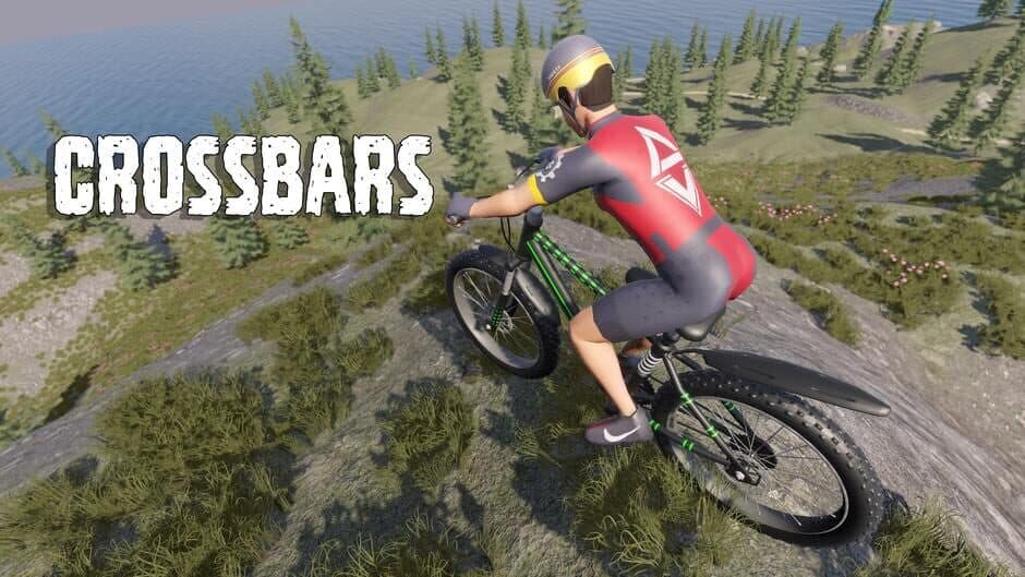 Crossbars banner
