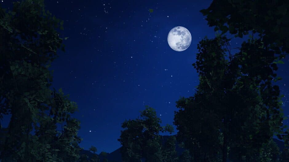 Dark Night with Floppa banner