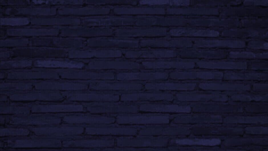 Cyber Furry Girl banner