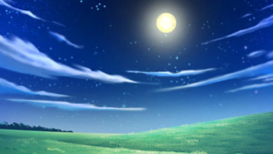 Dream Solutions banner