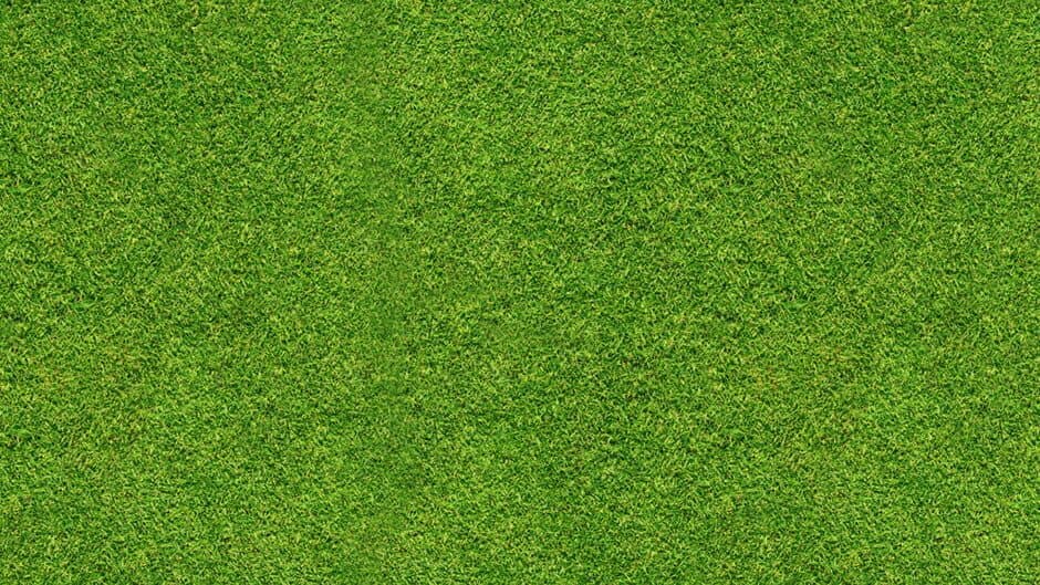 Clutter 17: Flower Power - Collector's Edition banner