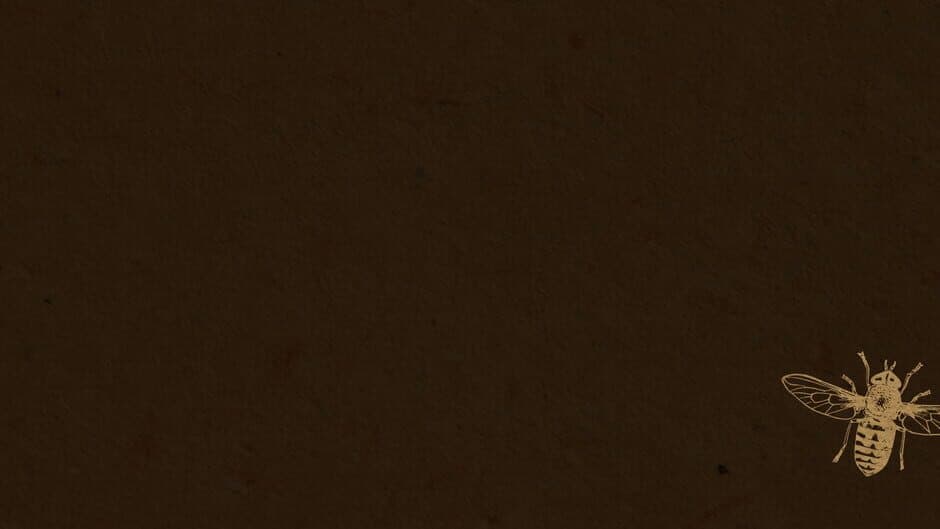 Queen of the Flies banner