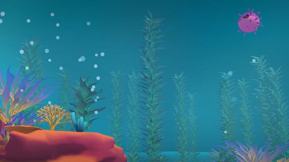 Catmarine banner
