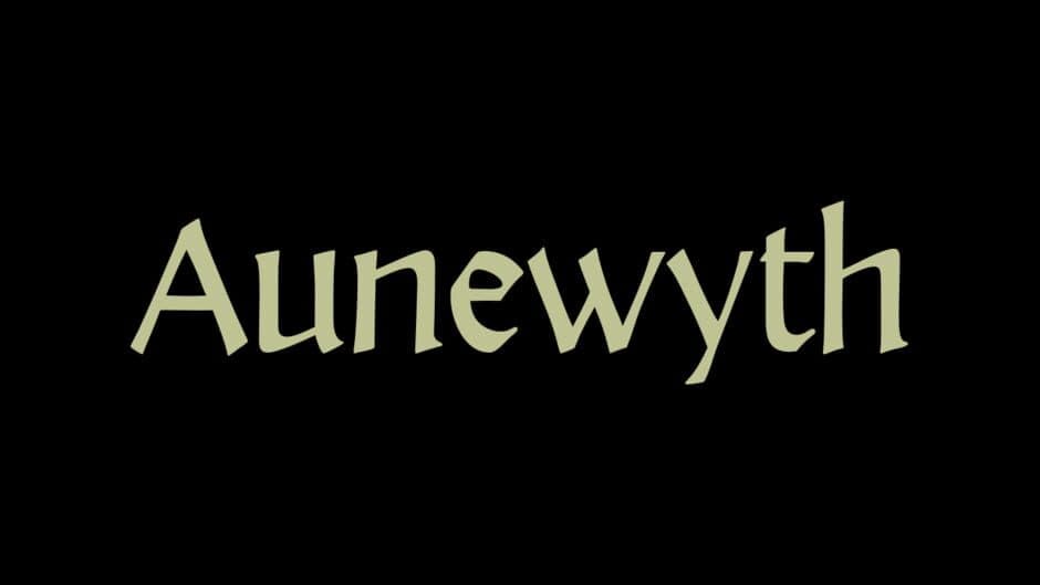 Aunewyth banner