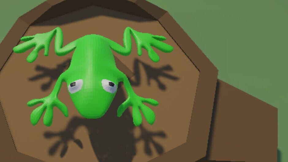 A Frog in a Small Pond banner