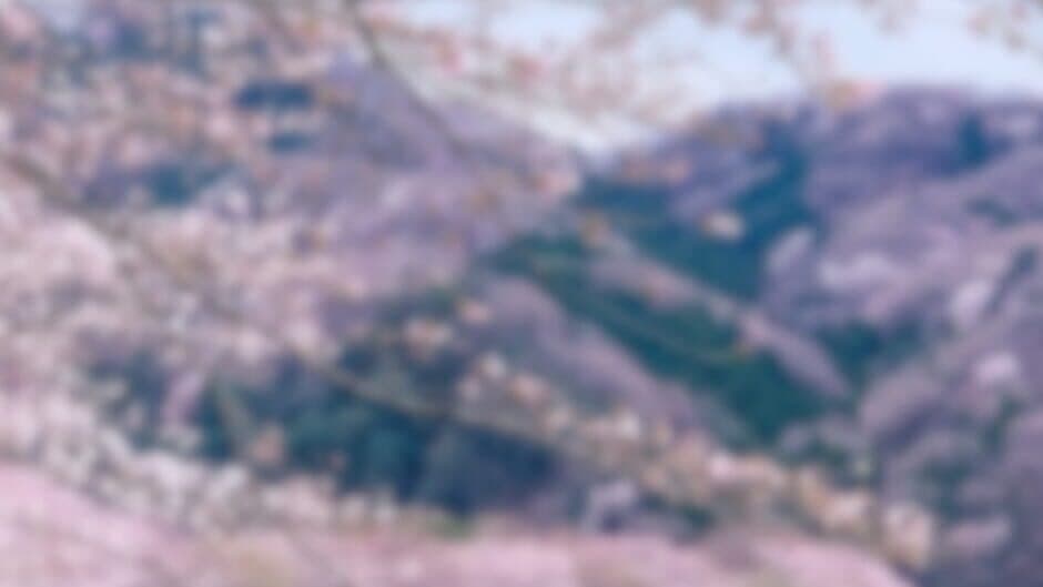 Sexy Anime Puzzle Game: A Hentai Girl Puzzle Adventure banner