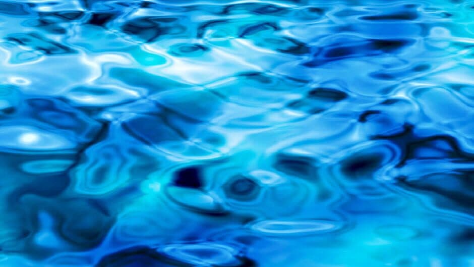 Gashi Shachi no Sachi banner