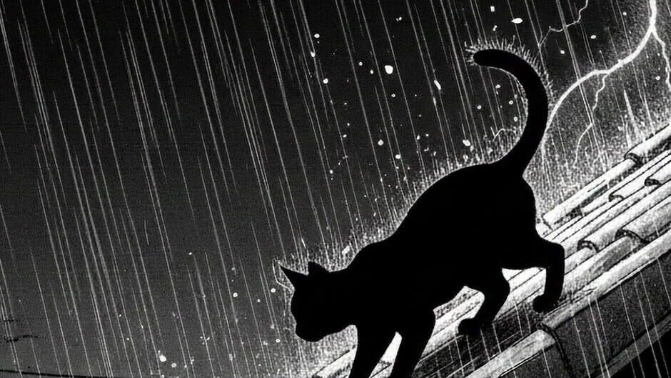 The Lucky Stray Cat banner