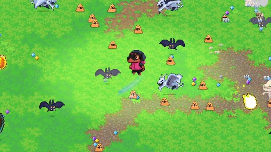 Donna Survivors banner