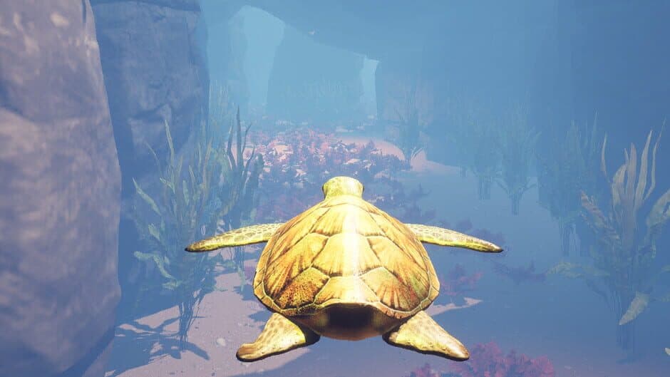 Turtle Racer banner