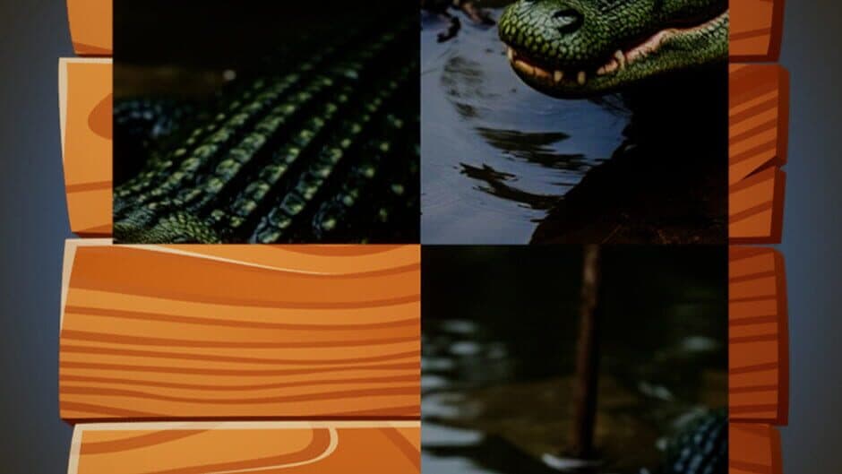 Saylor Animals Puzzle banner