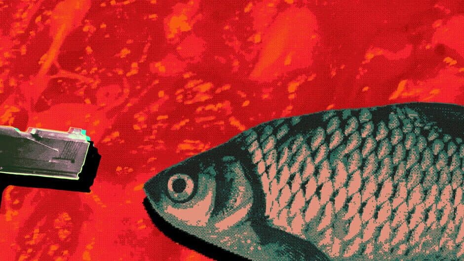 Meaningless Random Numbers banner