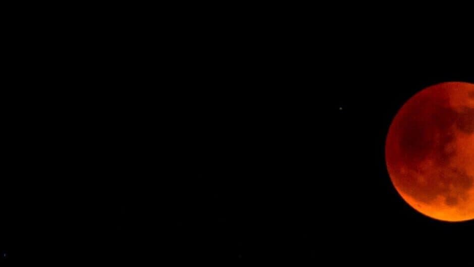 Space Mutants banner