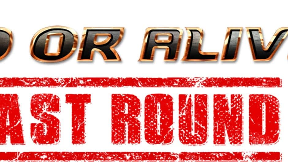 Dead or Alive 6 Last Round banner
