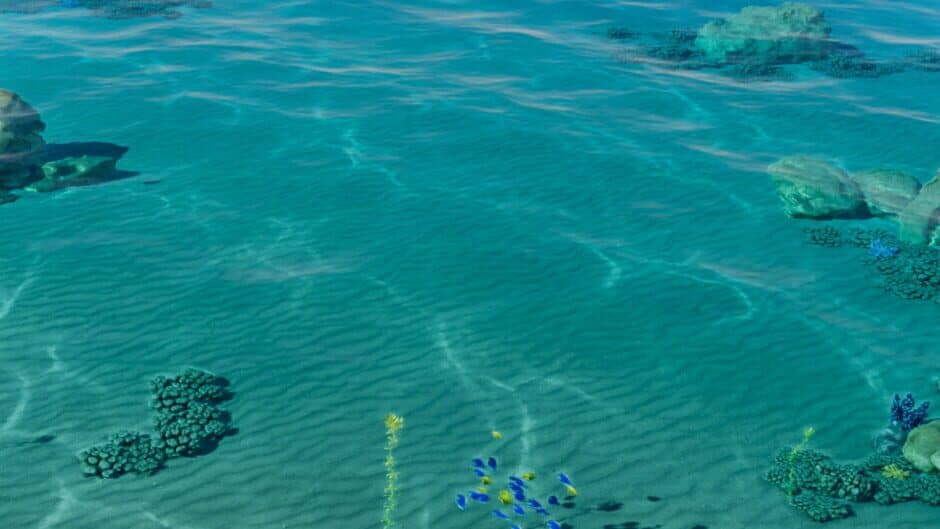 Oceanside Whispers banner