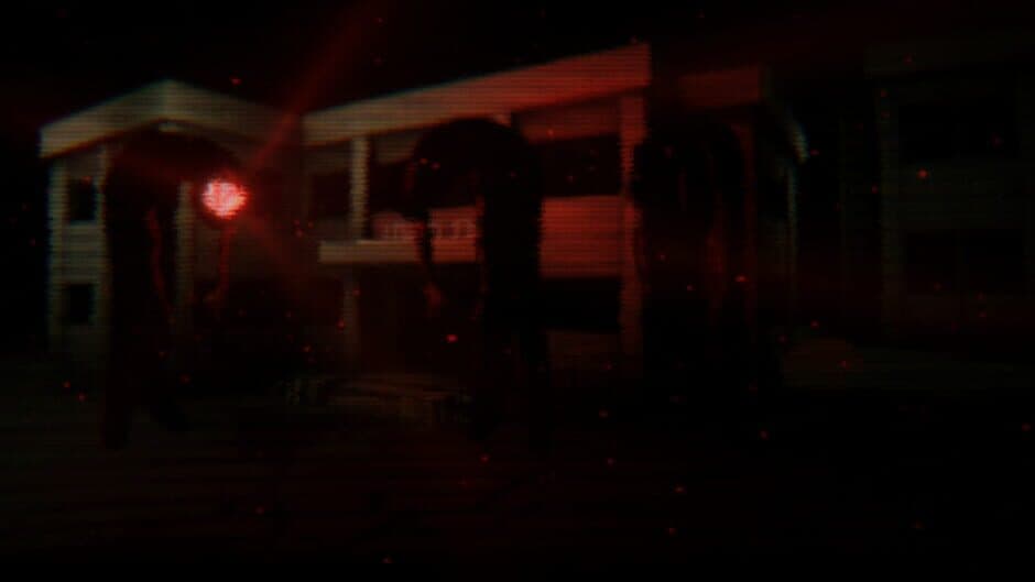 What Did the Chicken See banner