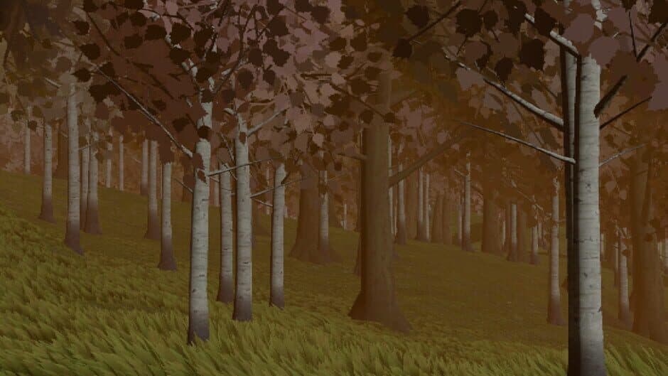 Birds Watching banner