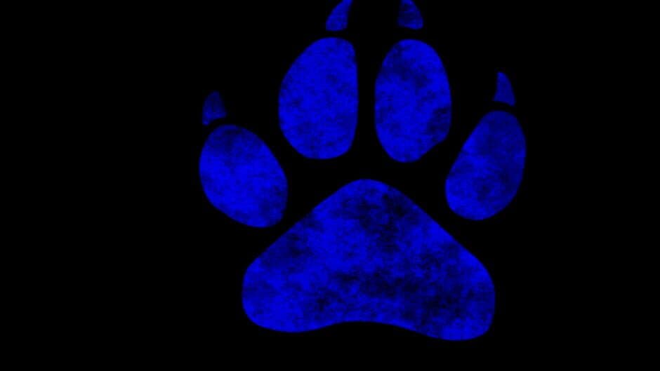 Beyond the Eyes banner