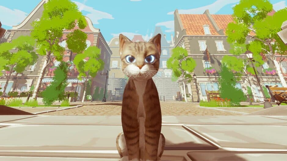 Whiskers Tale banner