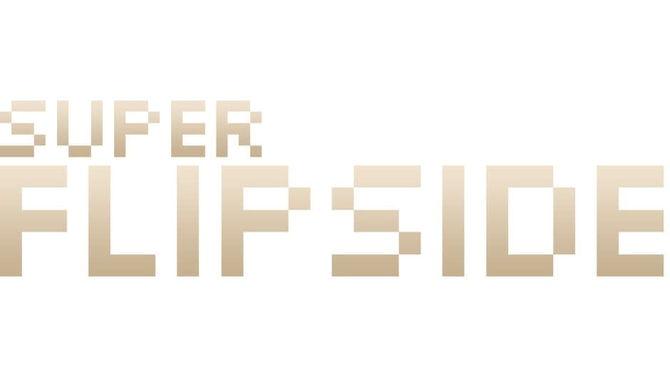 Super Flipside banner