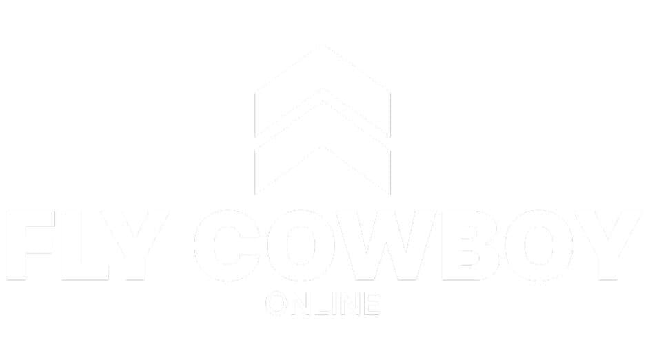 Fly Cowboy Online banner