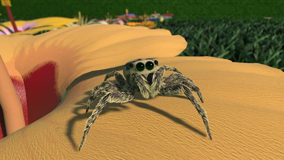 A little Jumpingspider's Garden Adventure (Day 1+2) banner