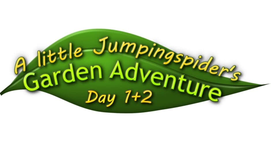 A little Jumpingspider's Garden Adventure (Day 1+2) banner