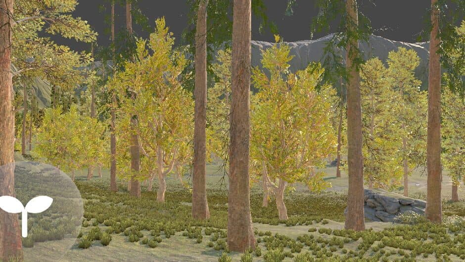 Qualial Nature banner