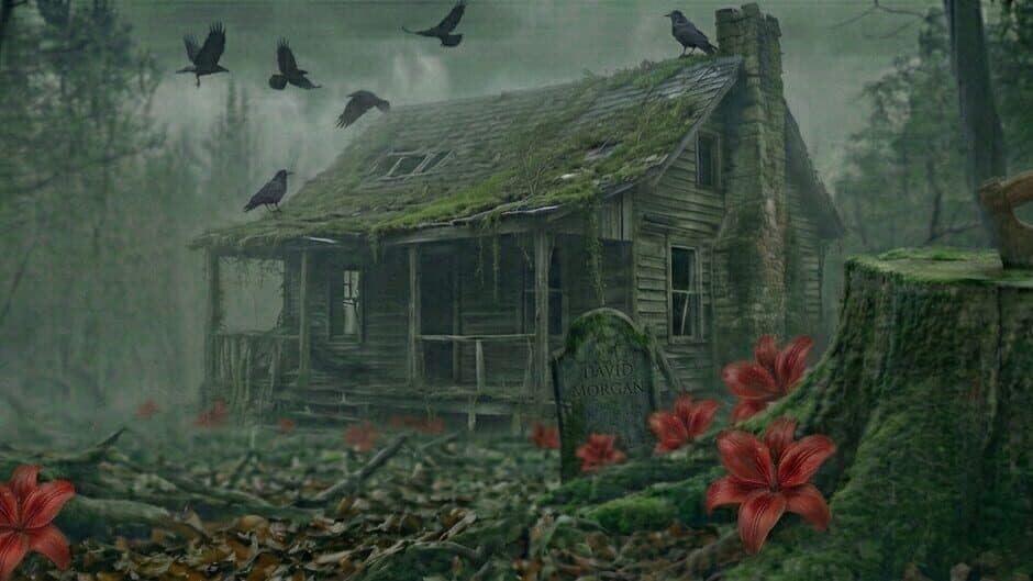 Phantom Of The Lily banner