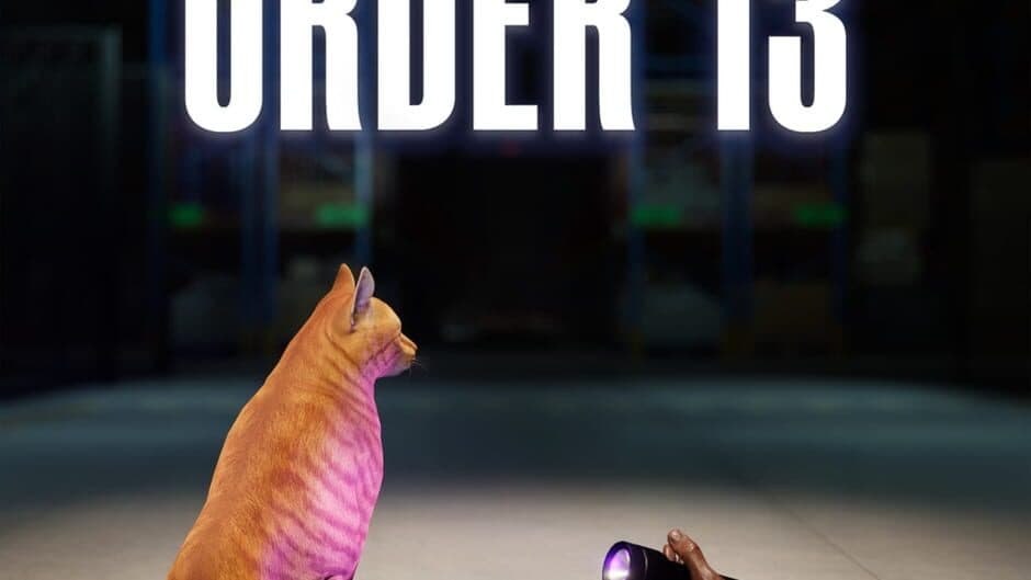 Order 13 banner