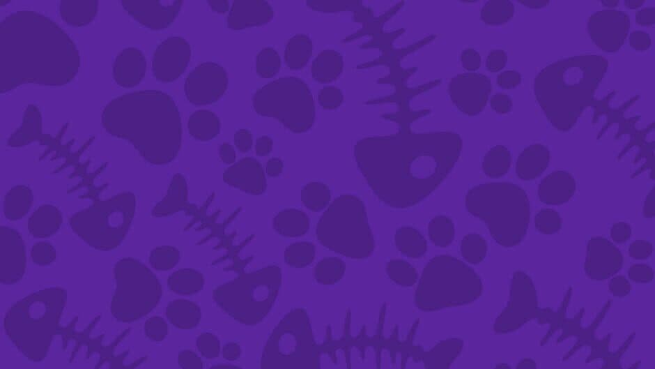 Miautemágica banner