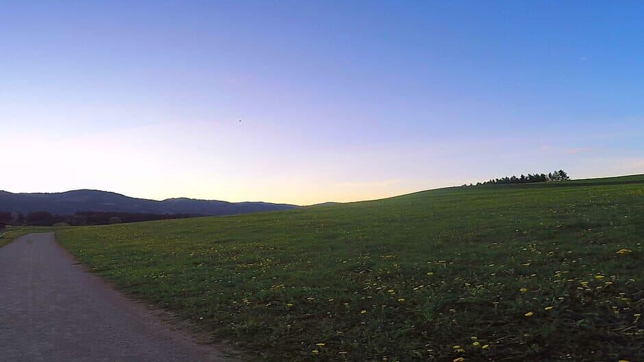 BorderCollie Game banner