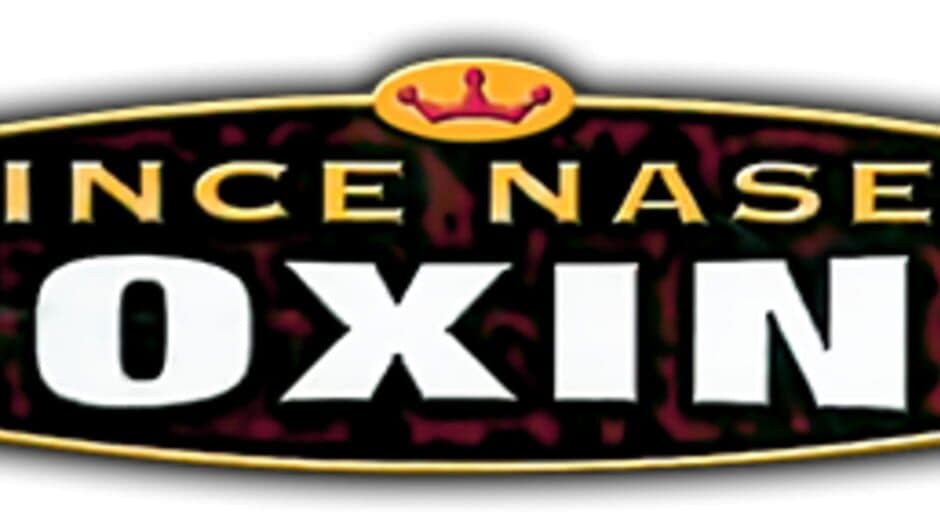 Prince Naseem Boxing banner