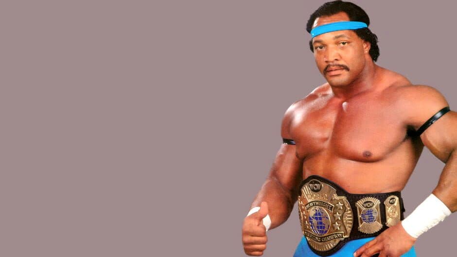 WCW SuperBrawl Wrestling banner