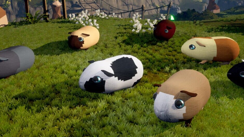 Guinea Pig Temple banner