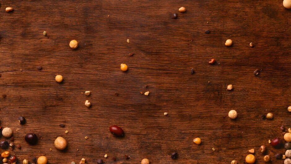 Hus: The 4-Row Mancala banner