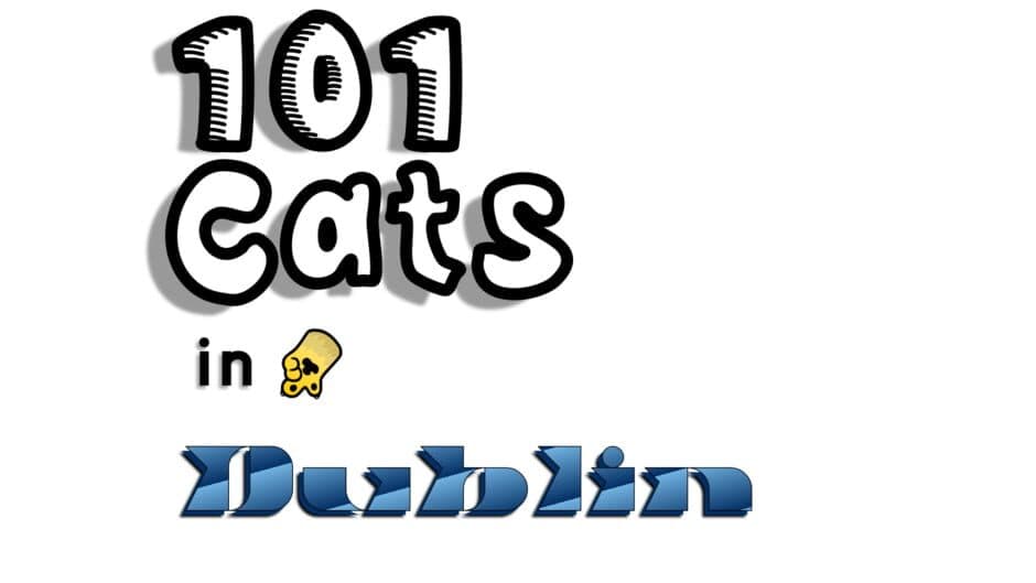 101 Cats in Dublin banner