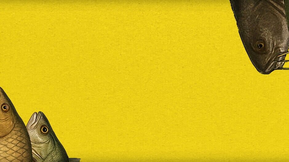 Where Are the Fish? banner