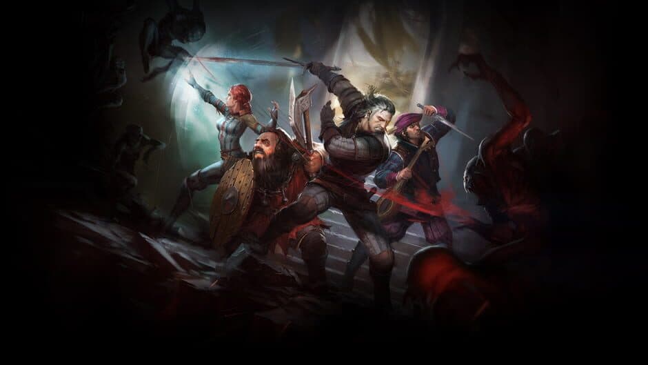 The Witcher: Adventure Game banner