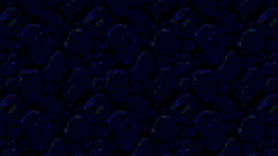 Chesst banner
