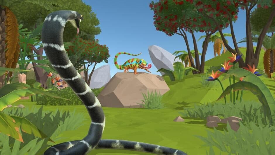 Planet Wow Wildlife Adventure banner