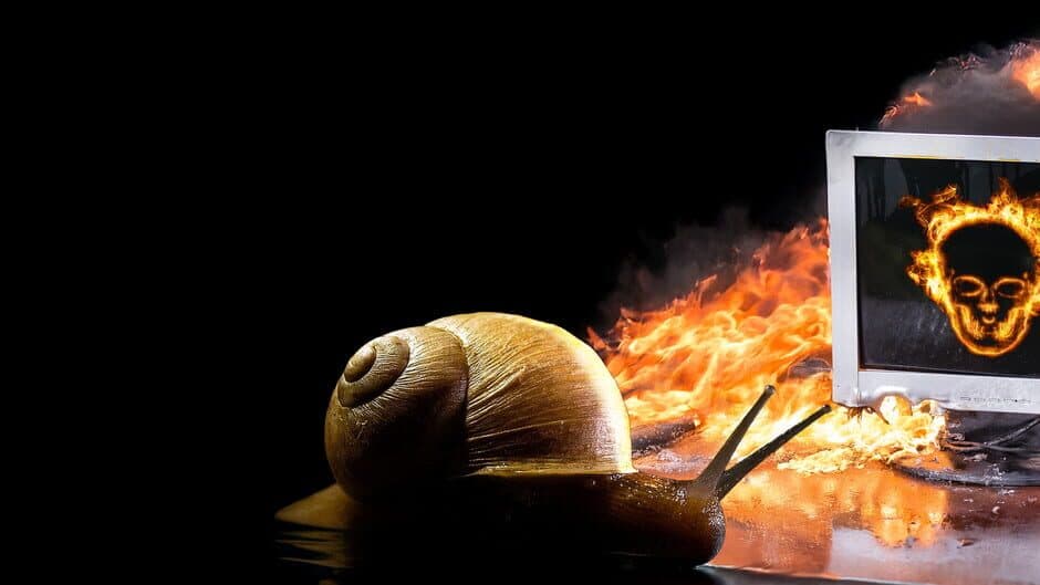 Don't Touch the Snail banner