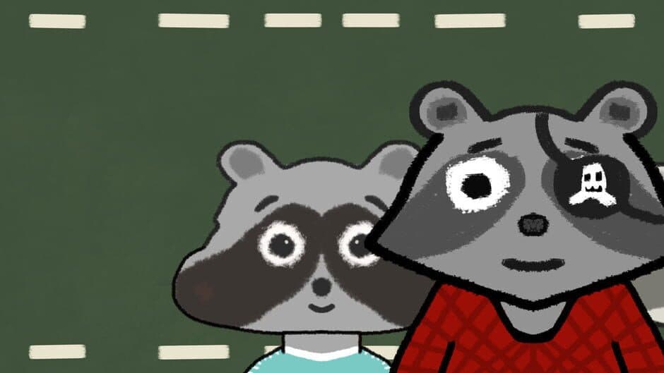 Raccoon Packer banner