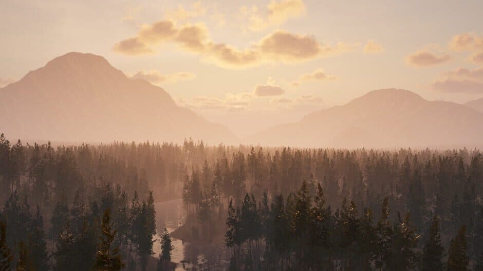 Online: 404 banner
