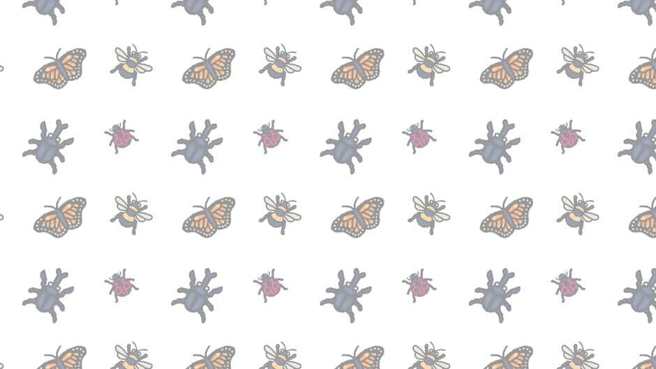 Budgie's Bug Shop banner