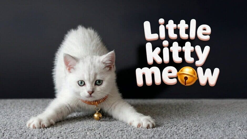 Little Kitty Meow banner